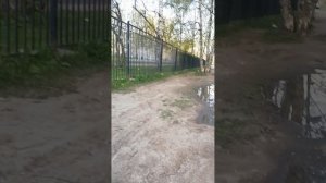 Погода в Санкт-Петербурге Невском районе 14 марта 2025
дворы ул. Шотмана