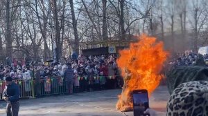 МАСЛЕНИЦА СОЖЕНИЕ ЧЮЧЕЛА КУРГАН 2025