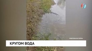 Кругом вода