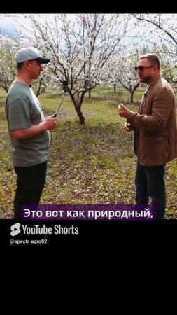 Миндаль увеличивает силу и борется с герпесом.