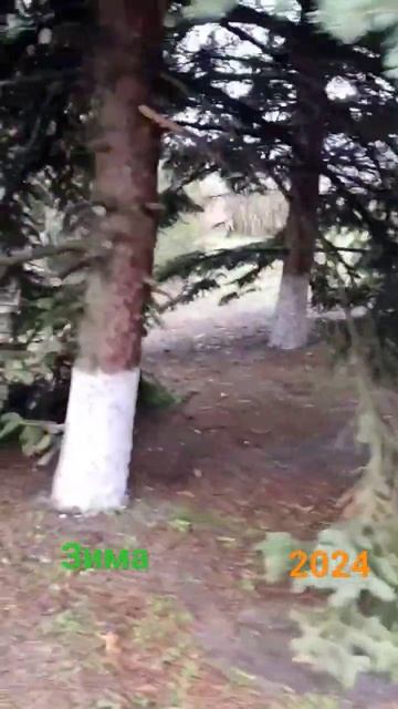 Хутор Любимов, Краснодарский край смотреть онлайн