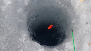 КРУПНАЯ ТАРАНЬ ЗИМОЙ возле ПЛОТИНЫ Весёловского водо?