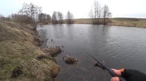 Воблер TsuYoki RIVAL SR 56SP