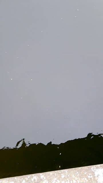 15.07.2024 Сахалин. Холмский р-н, село Чехов. #рыбалка #горбу смотреть онлайн