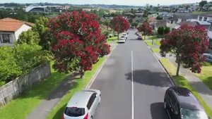 Soothing Music & Captivating Places: Unwind And Boost Your Mood