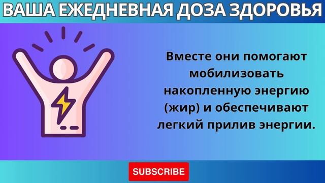 Что Происходит, Если Ты Не Ешь 100 Часов?