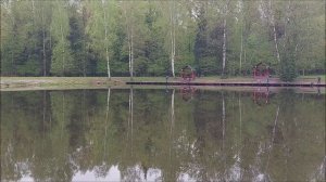 Утренний обзор с нижнего водоёма. Клёвое место, Лосиный остров.