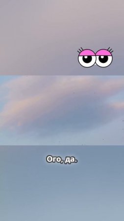 Сколько живут собаки