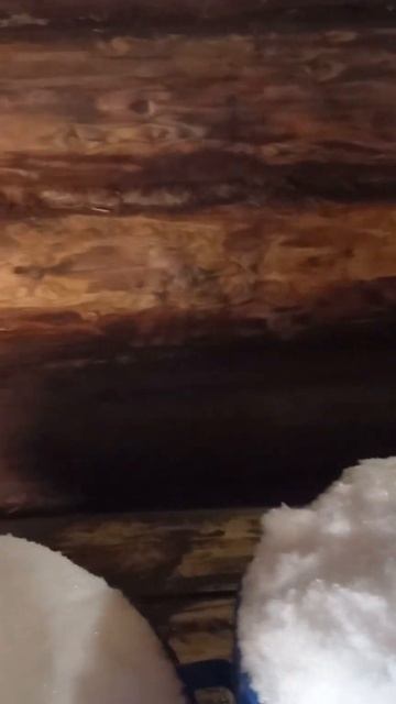 Поездка на Павловское водохранилище.Январь 2023. Готови смотреть онлайн