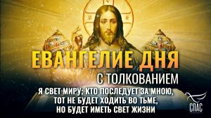 «Я свет миру; кто последует за Мною, тот не будет ходить во тьме.» / Евангелие дня