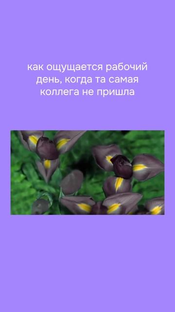 Признайтесь, у всех такая есть! #юмор #мемы #работа #кол смотреть онлайн