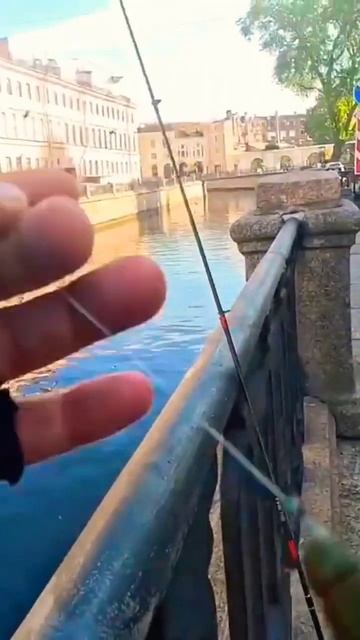 #клюет #fishing #рыболовная #2024 #ловим #рыбалка #санктпетер? смотреть онлайн