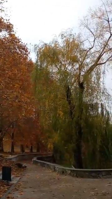 #shorts Симферополь погода крыму 06 11 2021 смотреть онлайн