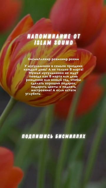 про 8 марта #Ислам #хадис #женщины #отношения #семья #пра смотреть онлайн