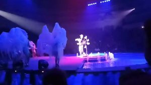 Цирк на воде