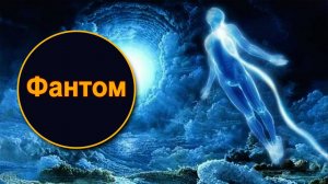 Можно ли полноценно работать на местах без физического присутствия. Мария Шлоен