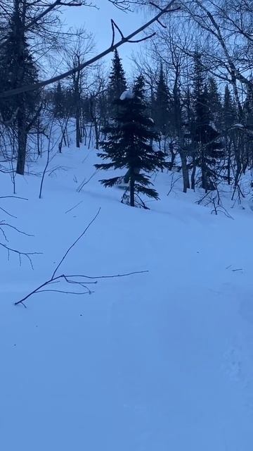 Делай так два три раза в день, спина болеть никогда не ? смотреть онлайн