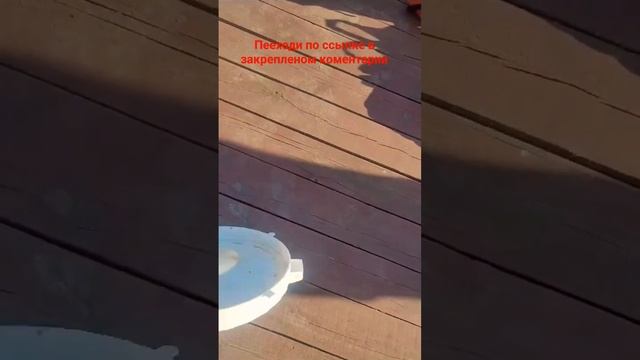 ГОВОРЯТ ЧТО РЫБЫ НИ ХУ* НЕТ РЫБАЛКА В АСТРАХАНИ #astrakhan #f смотреть онлайн