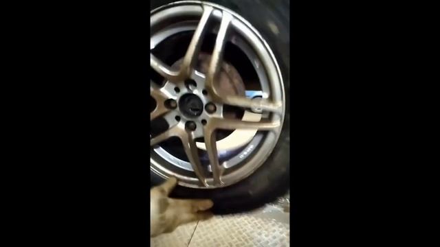 Автоприколы##жесть на сто
