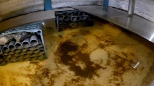 УЗВ 6 месяцев для австралийских раков. Приобретенный опыт, ошибки, кормление, разведение и нюансы.