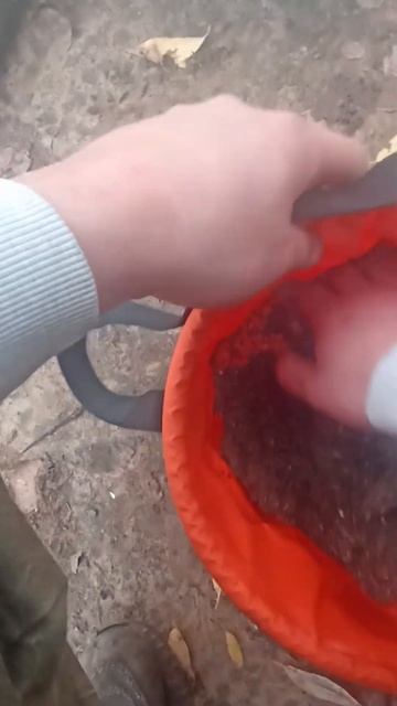 Рыбалка за 60 секунд #fishing #рыбалка #природа #фидернаяры? смотреть онлайн