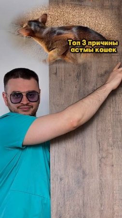 Топ 3 причины астмы кошек 🐈⬛