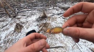 Прогулка по малой реке. Ловля Щуки. р. Нара. Ловля в фев?