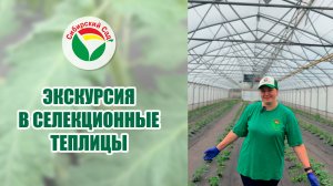 Экскурсия в селекционную теплицу