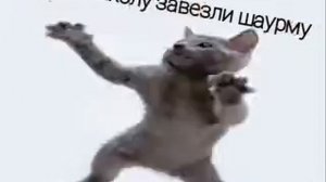танцующий кот.mp4(1)