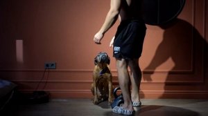 6 упражнений на бицепс для дома с гирей