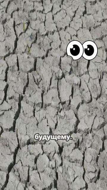 100 лет, чтобы спасти человечество