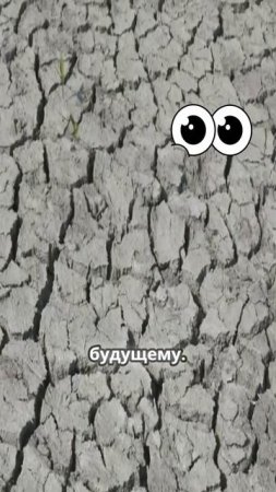 100 лет, чтобы спасти человечество