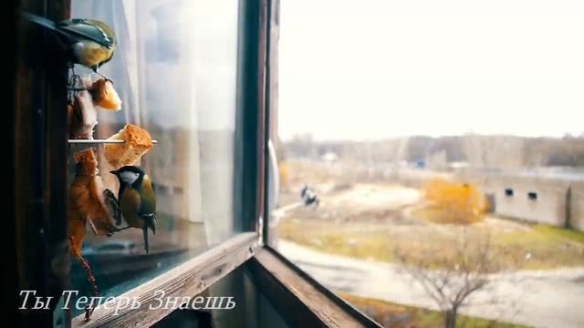 7 Февраля Григорьев день. Почему сегодня важно спрятат