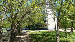 Уфа, Лесотехникума 18