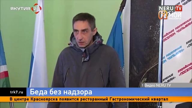 В Якутии стая собак насмерть загрызли двенадцатилетнюю девочку