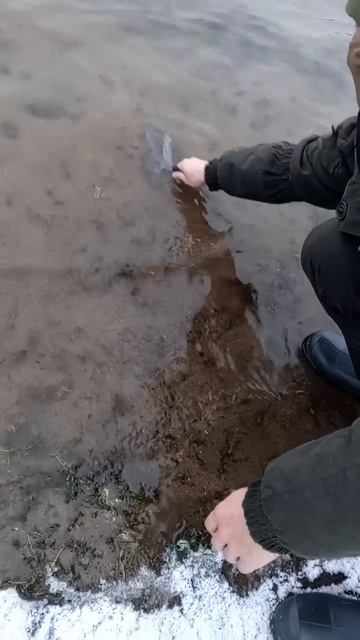 Зарыбили не много, дикие озера смотреть онлайн