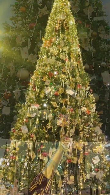 🎄Новогодняя ëлка в ТК"Центр города "/Краснодар/Декабр смотреть онлайн