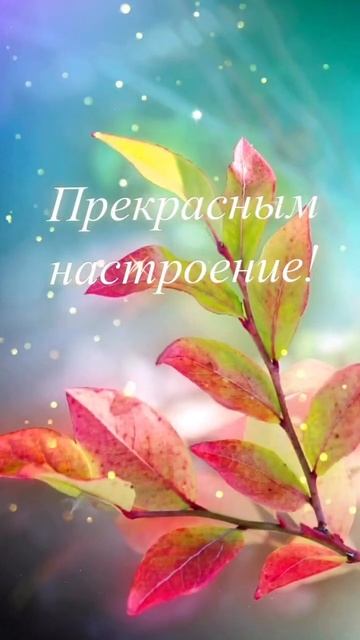 Добрый день! Прекрасного настроения! Музыкальная откр смотреть онлайн