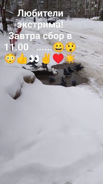 А ,ведь в этом должен быть какой то смысл?! Талая вода в? смотреть онлайн