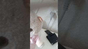 утренний влог с басиками | Тимофей с Лили познакомились с новым членом семьи? первые день с Хаги ваг