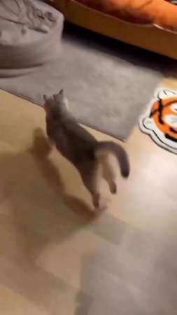 отдых тоже нужен)