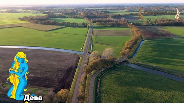 ДЕВА Раскройте СЕКРЕТЫ Вашего гороскопа на декабрь 2024
