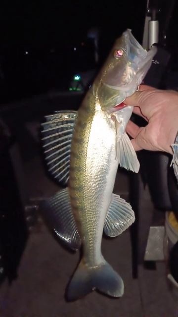 Судак осень смотреть онлайн