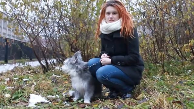 Копия видео "720" смотреть онлайн