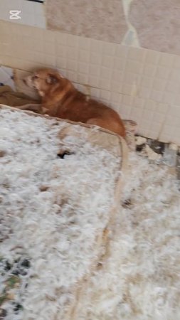 Только спокойствие