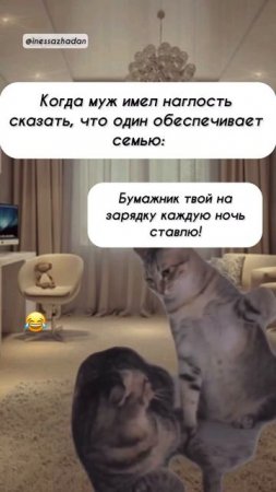 Когда муж имел наглость сказать, что один обеспечивает семью: