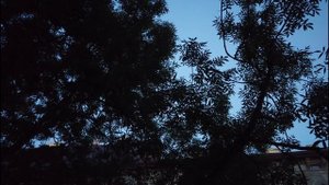 📣Воздушная тревога! Прилёты ракет в Днепре! Львов сег