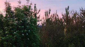 Вечер в деревне, закат, смотрю в окно на деревенскую природу, жизнь в деревне