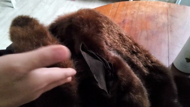 🐻 Як я рятую старе КОРОТКЕ ПАЛЬТО з натурального хутра🪡🧵 БЕЗ ШВЕЙНОЇ МАШИНКИ #ремонтодягу #шиття смотреть онлайн