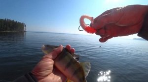 За трофеем на 3 дня. Новый катамаран "Флагман". Конкурс